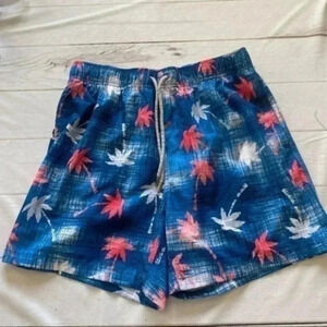 Vintage Summer Swimwear Men’s Swim Shorts Blue/Pink Palm Trees Size Large